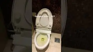 Unusual Bathroom Stall in KL