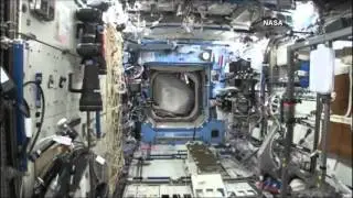 Astronaut wears Gorilla suit on international Space Station to...