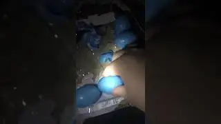 Ice Age smashers 8 pack unboxing