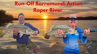 Run-off Barramundi Action at Black Fella Creek, Roper River