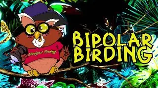 Bi Polar Birding Episode 0 Part 2 : Pond Building For Dummies