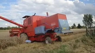 Mokre żniwa 2014 Bizon Z056 i Z056/7, Ursus 3512