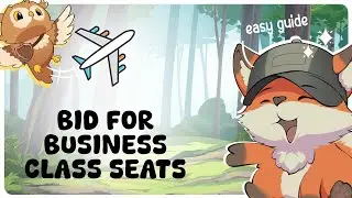 How to Bid for Business Class Seats | Guide Glimpse