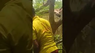broken and damaged. rescue team under work. finally cleared. salute to fire department. hard work.