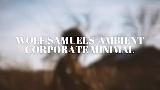 Wolf Samuels -Ambient corporate minimal