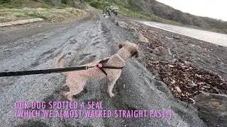 Red Rocks walking tour - a long walk on Wellington's rugged south coast