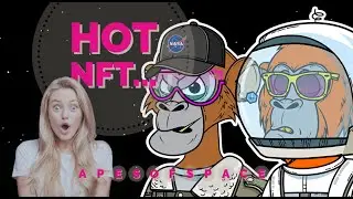 The Next Bored Ape Yacht Club??? 10X Potential! Apes of Space NFT Craze Continues!!!