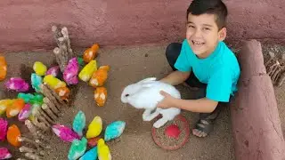 Adorable Chaos! Baby Boys Play with Rainbow Chickens and a Goat Friend! Fun Farm Adventures