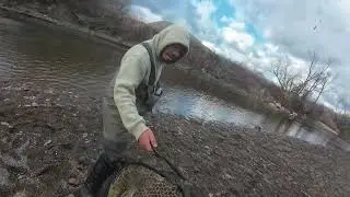 STEELHEAD TRIPLE CATCH! | THE THREE SPAWN SACK STOOGES