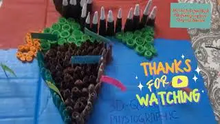 3D Quilled Model of Physigraphic Map Of India for School Project 