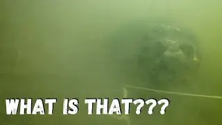 Creature Caught Lurking While Crabbing in the OBX