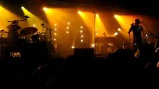 BONOBO Flutter