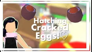HATCHING CRACKED EGGS!(Adopt Me)[read discrpt]Kat Zilla
