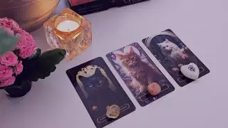 Ce que vous r&eacute;serve les 7 prochains jours 🦋