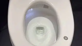 (TOTO)WASHLET 電解除菌水便座底部清潔保養