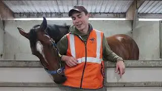 Te Akau TV - Weekend Preview