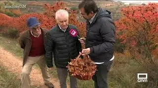Conocemos el zumaque en Brihuega | Ancha es Castilla-La Mancha