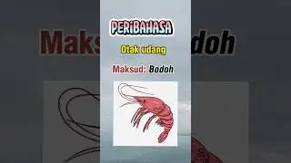 Peribahasa dan gambar - 1. Otak udang | Jenis-Jenis Peribahasa Melayu