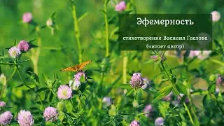 Эфемерность (стихотворение В. Гаазова)