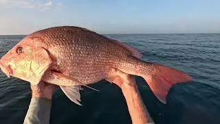 Медленная джиговая ловля красного люциана, красного групера и черного морского окуня на пляже Пан...