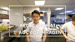 Beautiful Arctic char starter at 2* restaurant AOC, Copenhagen