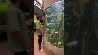 VGP MARINE KINGDOM 🐠 | Minivlog 126 | #mhamaldas #vlog #minivlog #marinekingdom #shorts
