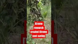 Xtreme R&D created Xtreme cost savings, ORGANIC solution STOPPING the need for CHEMICAL FERTILIZERS