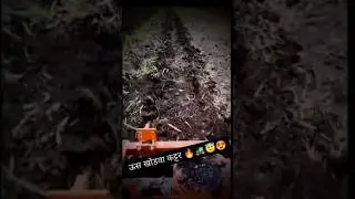 Ratoon Manager, Sugarcane Stubble Shaver