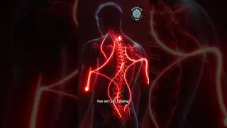 Pain Is a Warning System |🚨 Your Body&rsquo;s Hidden Alarm System | #pregnancytips  #science