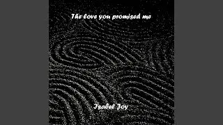 The love you promised me (Radio club mix)