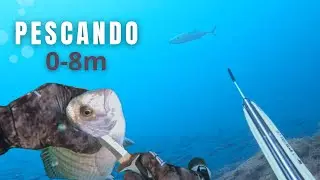 ❄️INVIERNO 2026 | PESCA SUBMARINA
