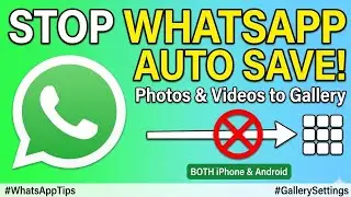 How to prevent WhatsApp from auto-saving media to your gallery | 2024 Guide