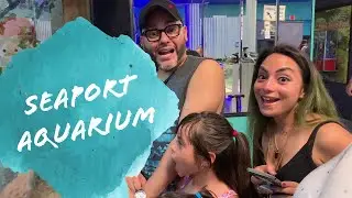 Seaport Aquarium, Wildwood NJ