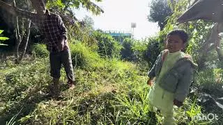 Avocado Farming in Pokhara Kaski | Planning for Farm Stay & Organic Food Experience