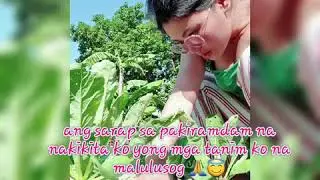 Vernz Little Farm, My Simple Living, Buhay Probinsya.