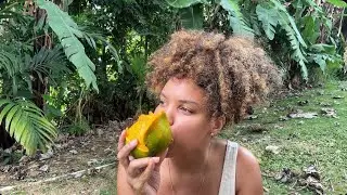 Back in Jamaica 🇯🇲 