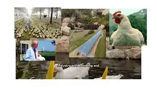Frank Perdue &ndash; Perdue Farms SUCCESS STORY IN UNITED STATES