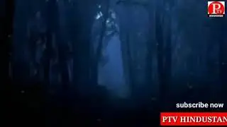 Pohal