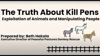 The Truth About Kill Pens: Exploitation of Donkeys and Manipulation of People Unveiled