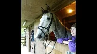 Best Day of My Life - New Horse!
