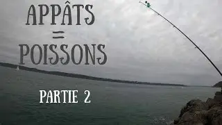 On transforme les appâts en poissons - Partie 2