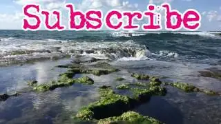 february 2017 Atlit , Dor Beach , Horvat Qarta ISRAEL