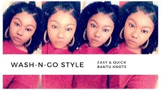 Wash-N-Go Style | Bantu Knots | Easy & Quick - T. Jillian