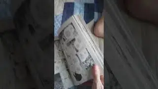Toad Vlog #7