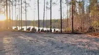 Salpalinjaa Lieksassa Kitsi - Inari osa1