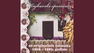 Pijte Pajdaši