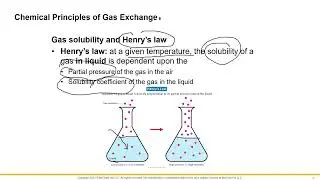 Respiratory Gas Exchange