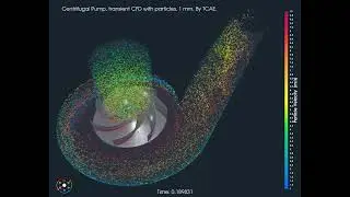CFD Simulation of Centrifugal Pump Transient with Real Particles | CFD Support