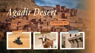 Agadir Dessert | Quad bikes | Goat climbing tree