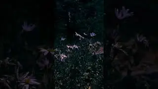 just how fast the night changes ✨🥂 ll # aesthetic # night changes song # song lyrics # viral video